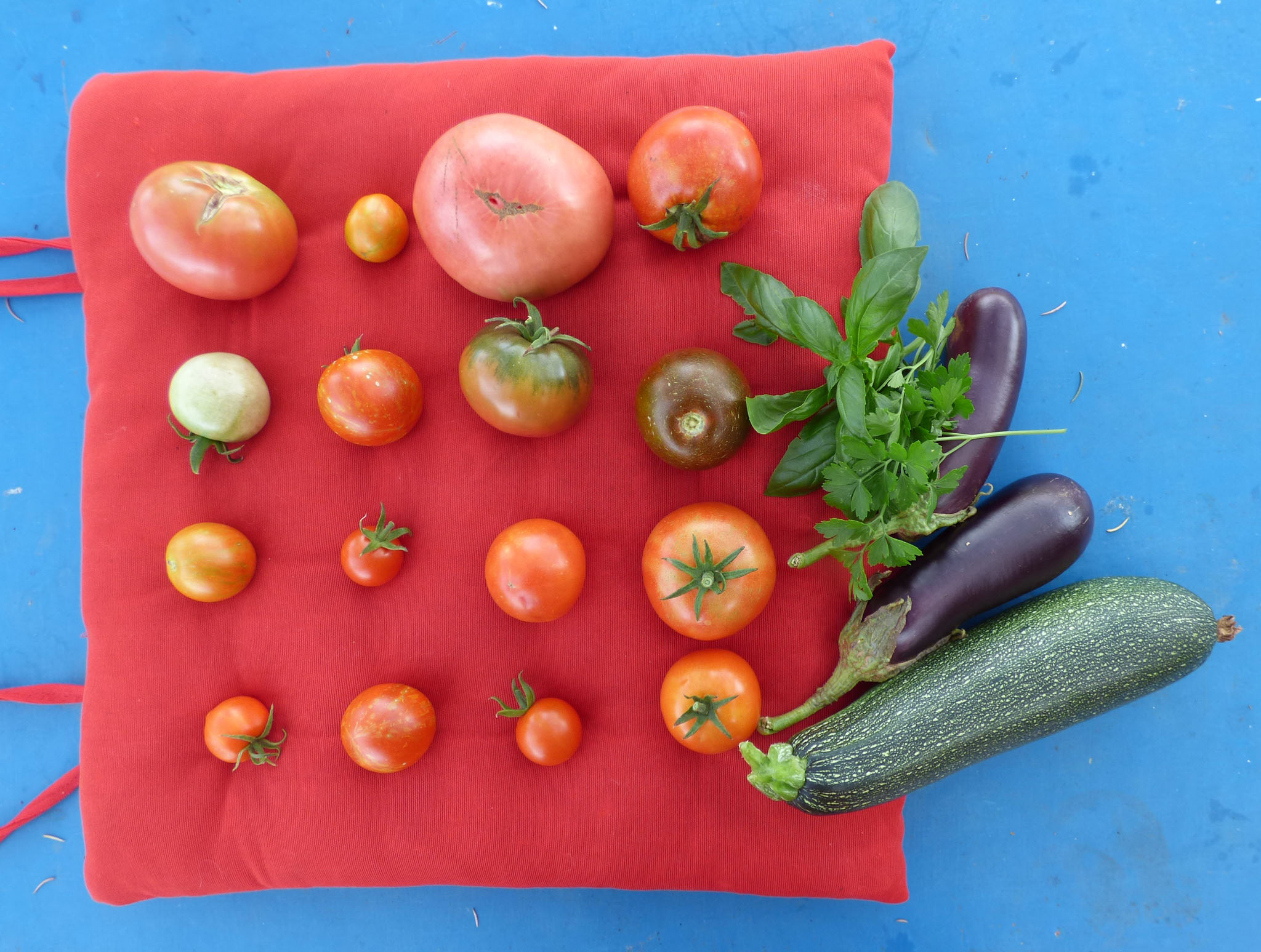 Collection de tomates