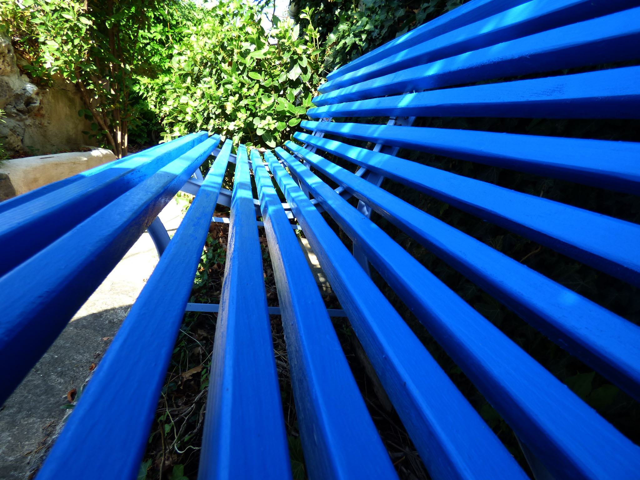 Les bancs bleus
