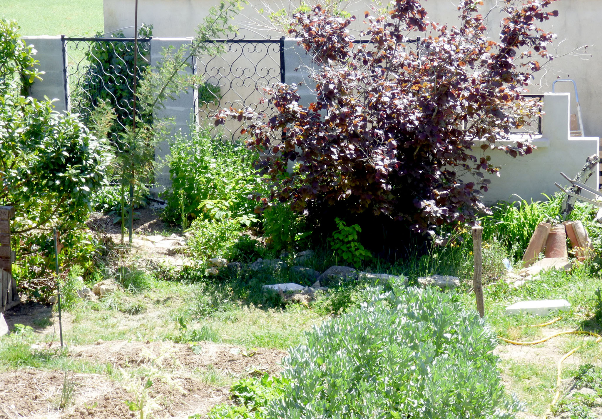 L'hacienda