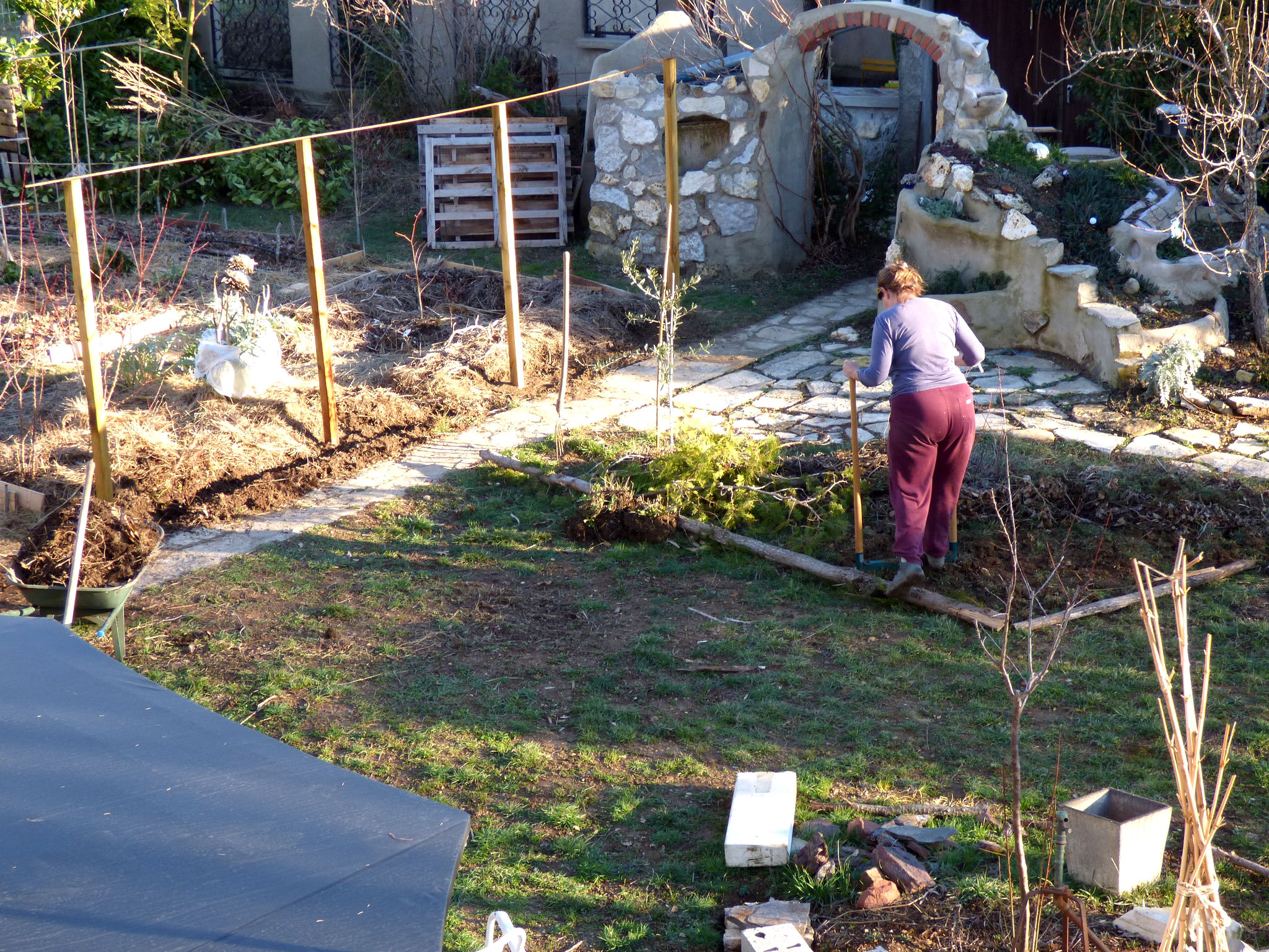 Jardin en evolution