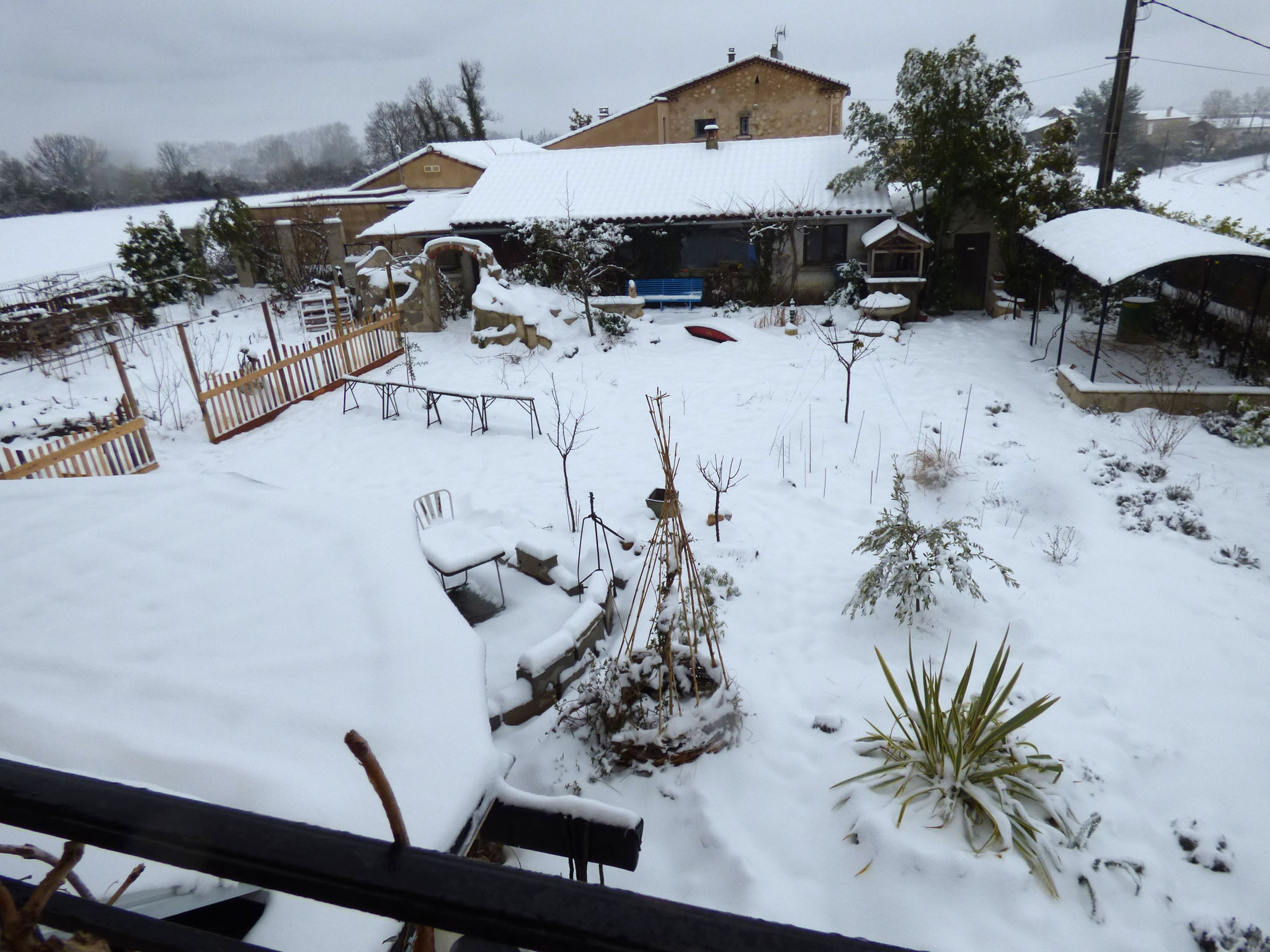 Neige au jardin.