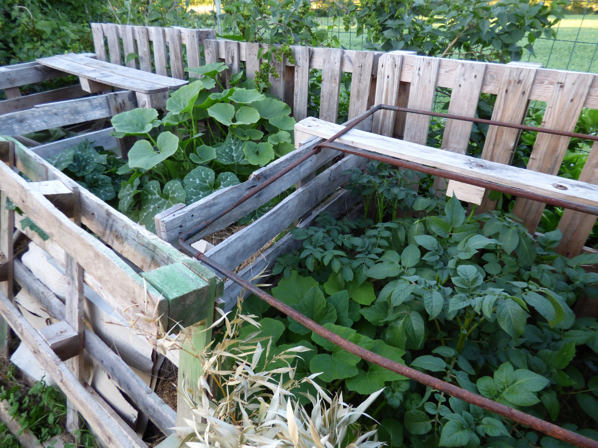 Compost ou jardiniere ?