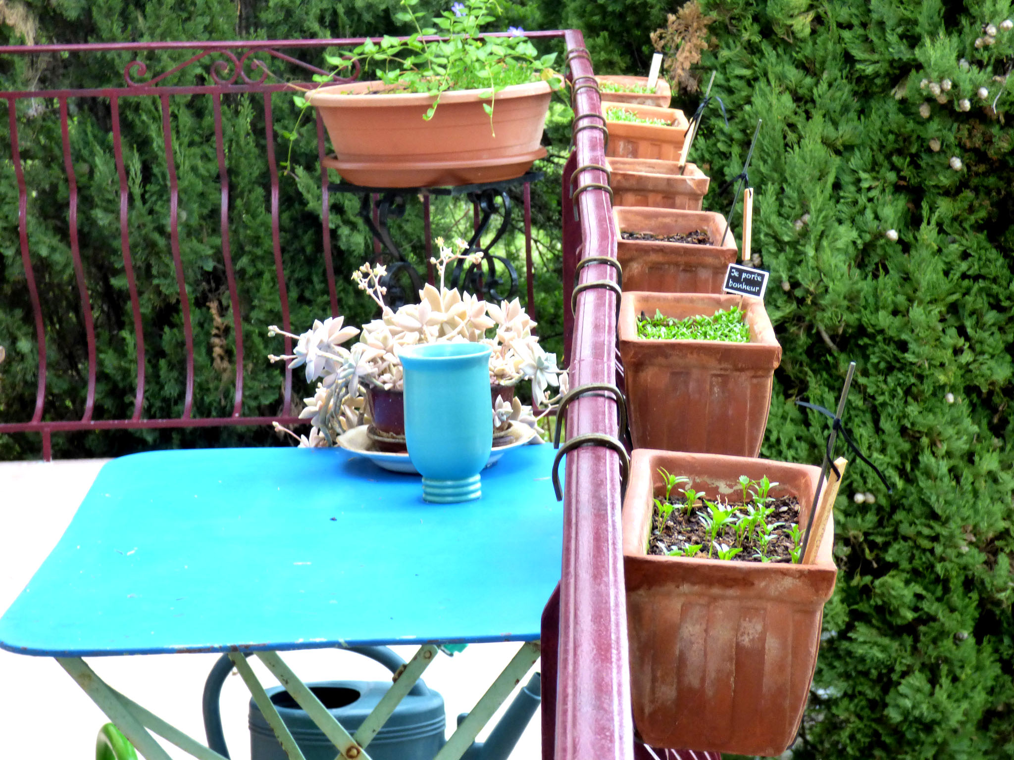 Les jardinieres de simples.