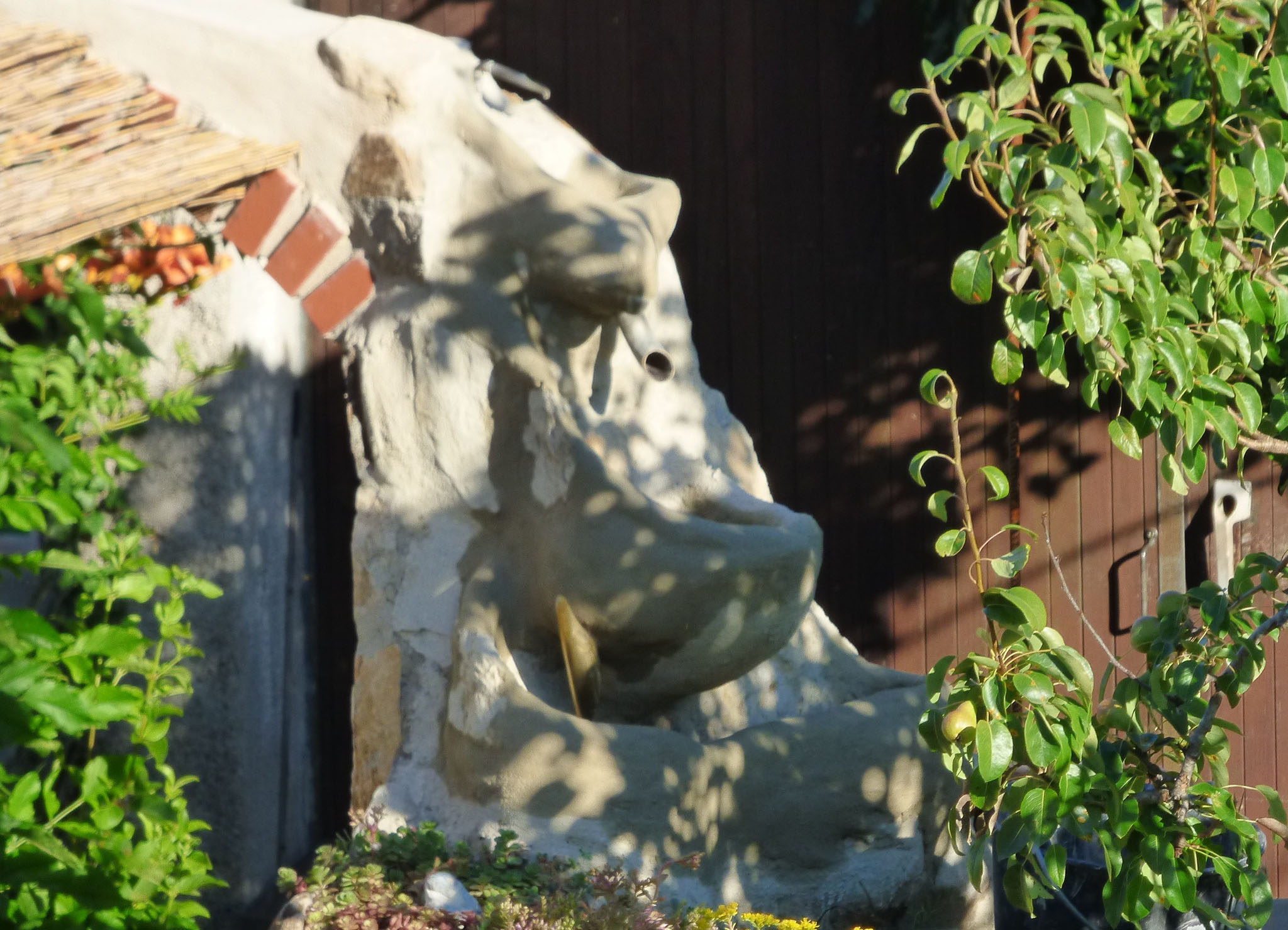 Rhino cascade.