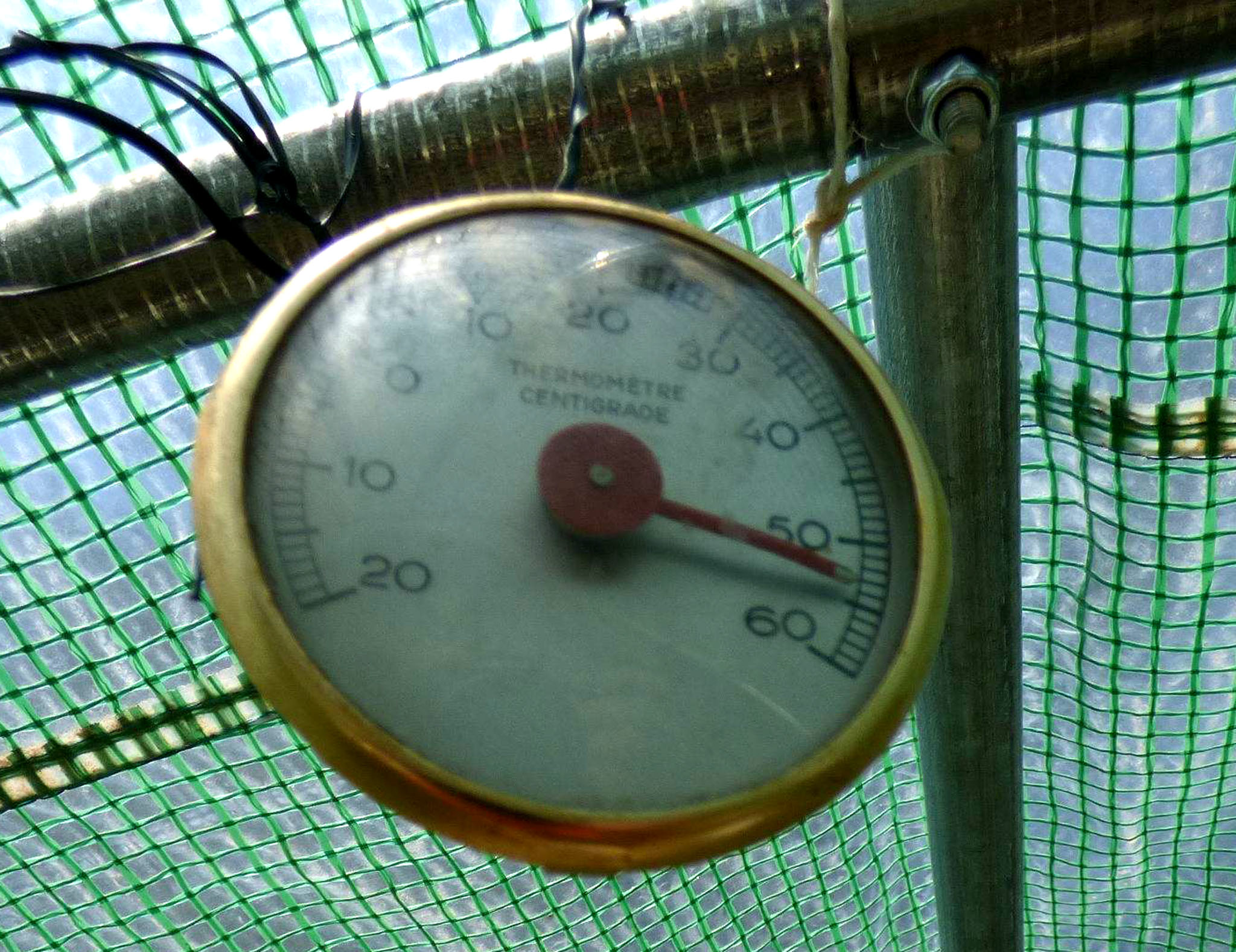 Thermomètre réaliste