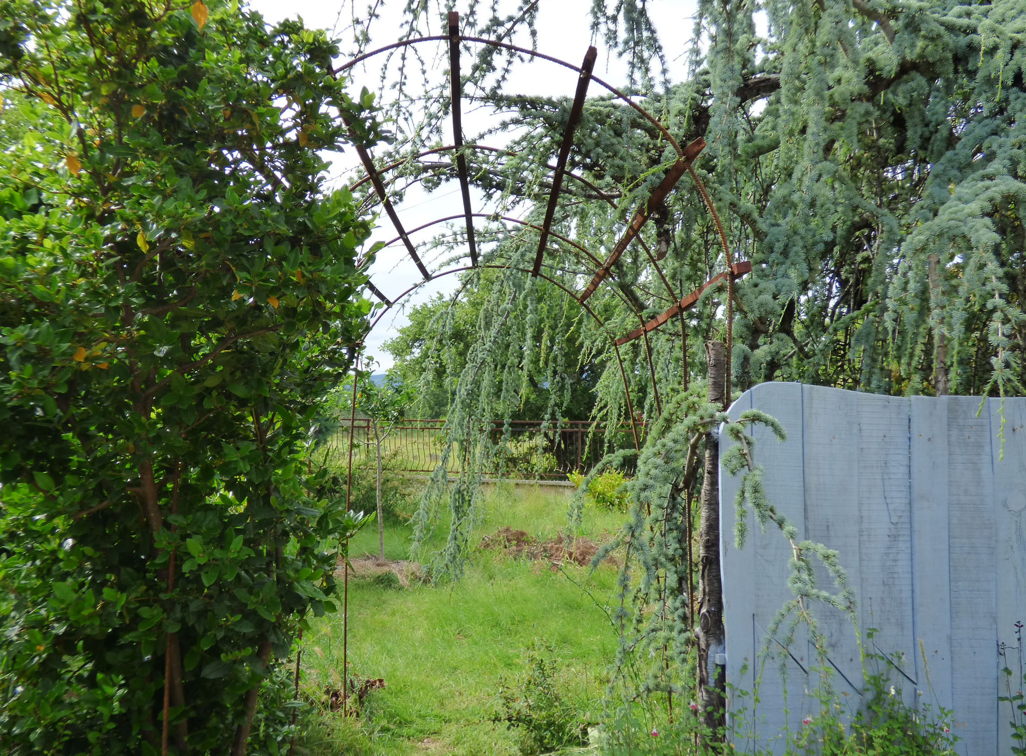 Le tunnel sous les branches.