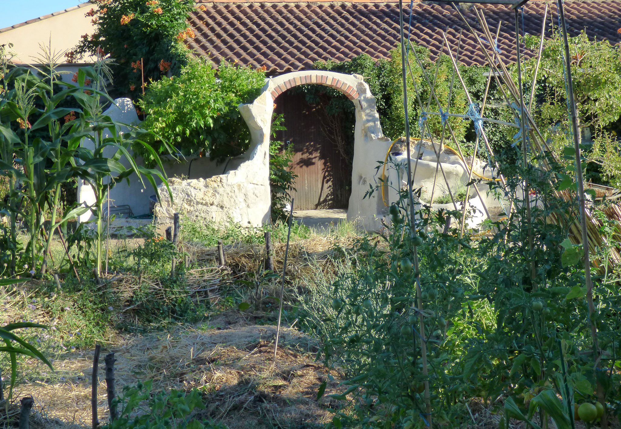 Le jardin alpin vu du potager.