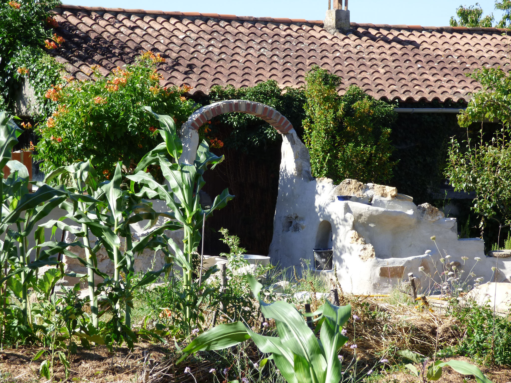 La future rocaille.